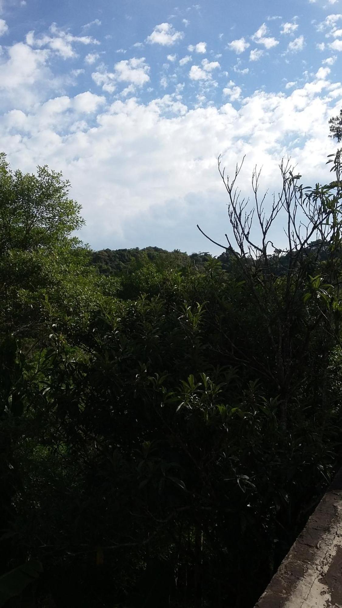 Kitnet Em Meio A Mata Atlantica Juquitiba Exterior foto