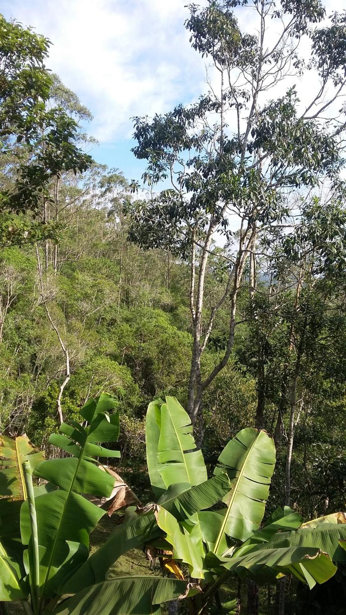 Kitnet Em Meio A Mata Atlantica Juquitiba Exterior foto